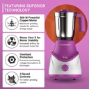 Mixer Grinder CROMPTON Questra Dlx - 500 W