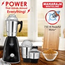 Mixer Grinder MAHARAJA WHITELINE Turbo Prime Elite - 750 W 