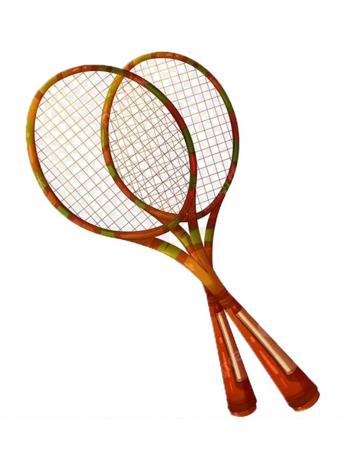 Sports / Badminton