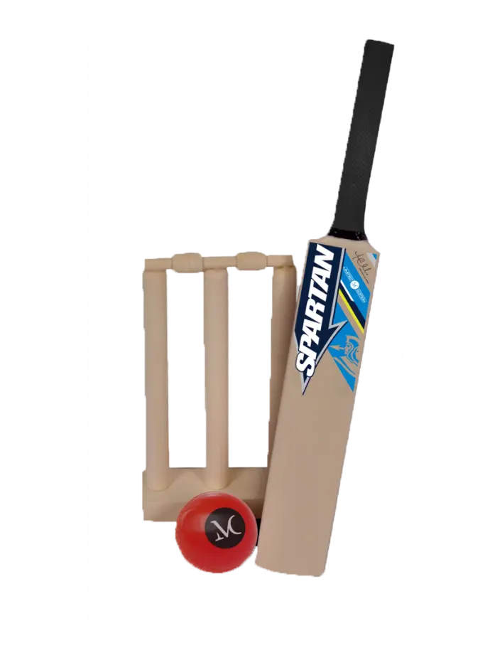 Sports / Cricket