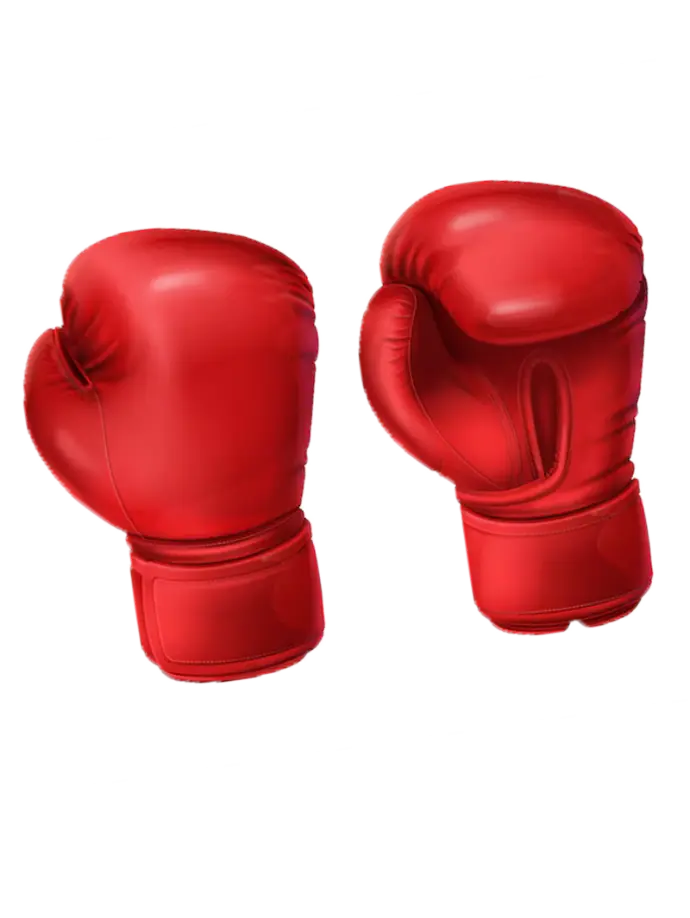 Sports / Boxing