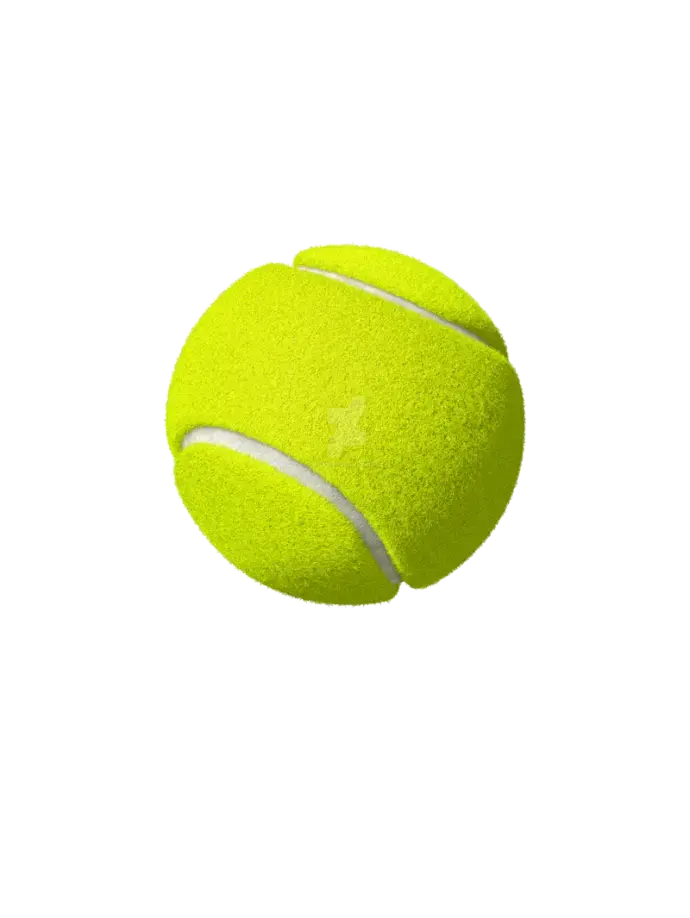 Sports / TennisTable